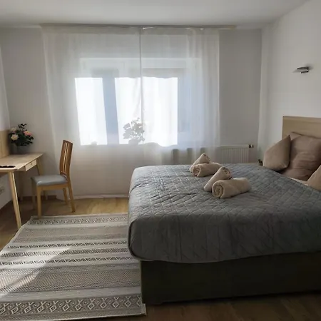 Falk Homes- Luxus Apartments, Ideal Fuer Geschaeftsreisende & Familien - Nahe Messe, Im Zentrum Nuernbergs Mit Balkon, Arbeitsplatz & Parkplatz, Self Check-in Apartment *